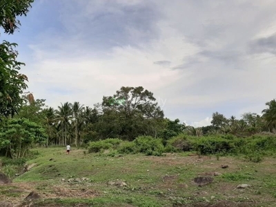 4,407 sqm Residential Lot For Sale - Buntod, Bacong, Negros Oriental
