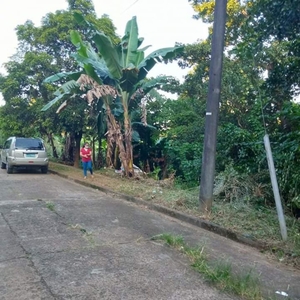 445 sq. meters Residential lot for sale in San Roque, Antipolo, Rizal