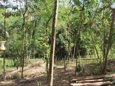 1. 6 Has Farm Lot for Sale located in Angat near DRT, Bulacan
