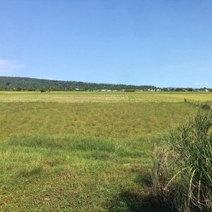 5 hectares farmland for sale in alapan City Oriental Mindoro