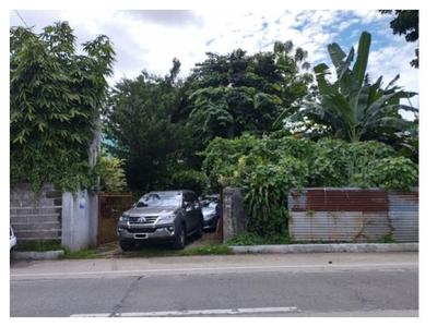 5-Hectares Lot For Sale in Santo Tomas, Batangas