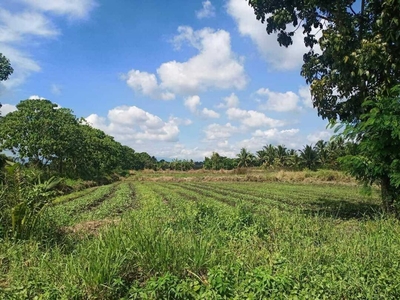 5,000 sqm Commercial Lot for Sale along Lagao-Conel Road, Gensan City