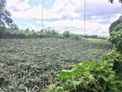 5,000 sq.m. Farm Lot For Sale in Tagaytay City, Cavite - Clean Title
