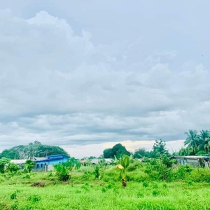 Beachline Lot for Sale in Lucod, Baganga, Davao Oriental | White Sand