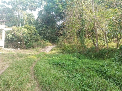 500k Only! 470 sqm Lot for Sale at San Agustin, Iba, Zambales