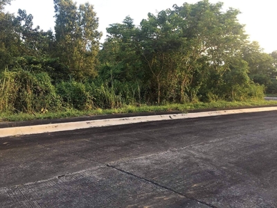 504 sqm Residential Lot at Banyan Crest, Timberland Heights