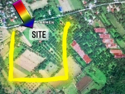 50,717 SQM Residential/Agricultural Lot for Sale in Toledo City along Highway