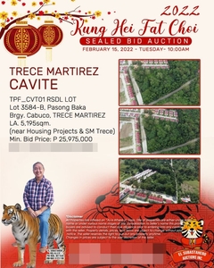 5,195 sqm Residential Lot for Sale in Trece Martirez Cavite
