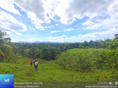 5.2 Hectares Agricultural Land for Sale at Ligao City, Albay
