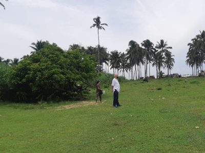 5,662 sqm Beautiful Beach lot For Sale in Cauayan, Negros Occidental