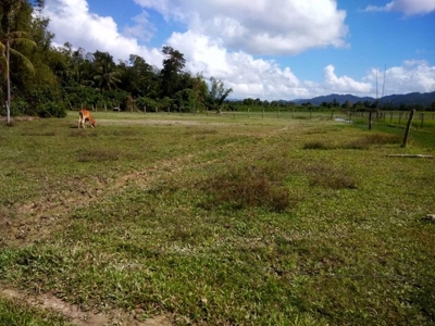 571sqm Lot For Sale in San Vicente, Palawan