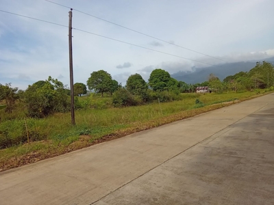 5.8 Hectares Property Residential or Farm Lot For Sale at Narra, Palawan