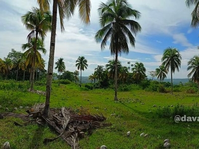 6 Hectares of Prime Land for Sale in Brgy. Tagbay, Island Garden City of Samal