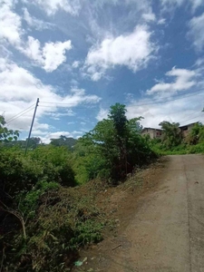 60 sq. meter Residential Lot for sale at Brgy. Tolotolo, Consolacion (Rush)