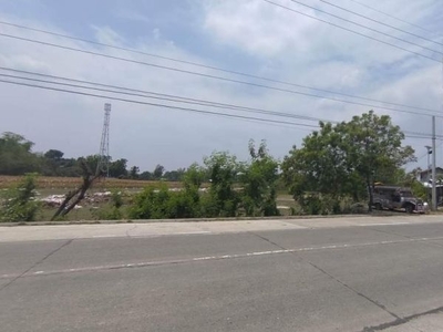 6,044 sqm (50m frontage) Highway Lot for sale ( Bayambang, Pangasinan )