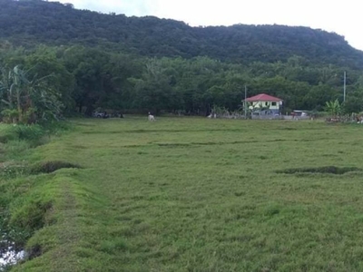 6300 square meters Tenorio's mango farm lot for sale in Lian, Batangas