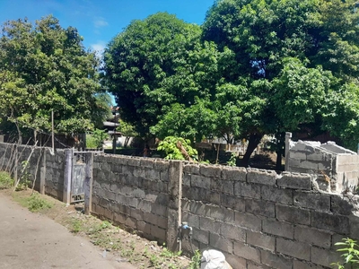 634 sqm Residential Lot For Sale in Carmen East, Rosales Pangasinan