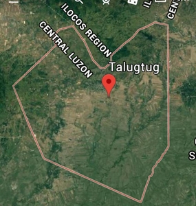 6.5 Hectares Land For Sale In Talugtog, Nueva Ecija