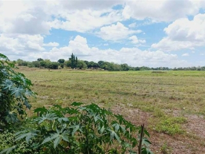 6,500 square meters Land For Sale in Aranguren, Capas, Tarlac