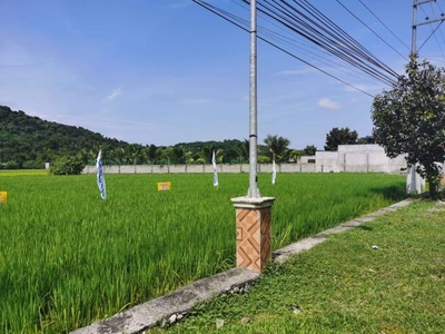 6725 sq m titled lot in Calungbuyan along National Highway - Php2,000/sq m