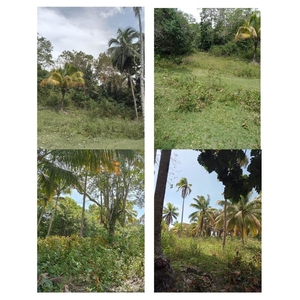 6.8 Hectares of Land For Sale in Island Garden City of Samal, Davao del Norte
