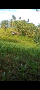 7 Hectares Farmlot For Sale in Pagadian, Zamboanga del Sur