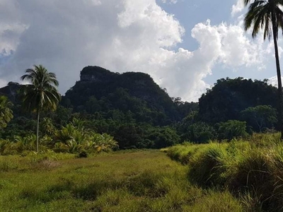 7 hectares lot For Sale- Brgy Isugod, Quezon, Palawan