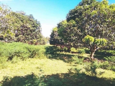 7,000 sqm titled property(road to cliffiside seafront) in san juan siquijor