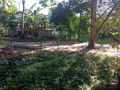 707sqm Residential Lot at Samal Island