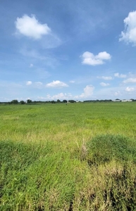 72 Hectares Agriland For Sale in Anao, Mexico, Pampanga