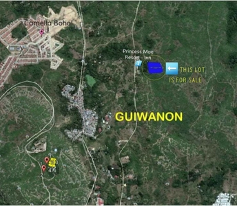 7,697sqm Baclayon Lot for Sale