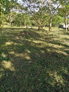 Small Farm in Batangas for Sale
