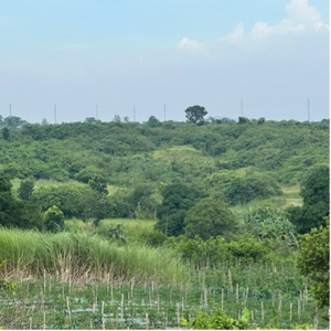 8 Hectares Agricultural Lot for Sale in San Ildefonso, Bulacan