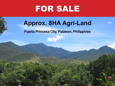 8 Hectares Agricultural Lot for Sale with Clean Title at Puerto Princesa Palawan