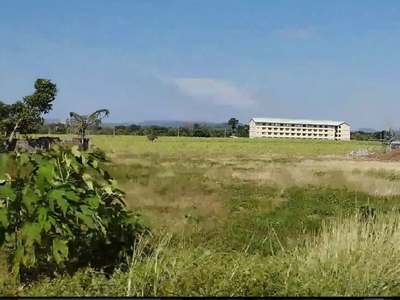 8 hectares of lot in Balayan Batangas beside a coliseum