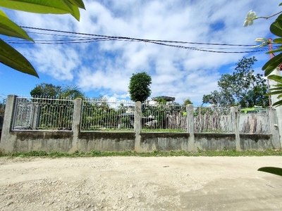 800 sqm. Residential Lot For Sale in Catarman, Liloan, Cebu