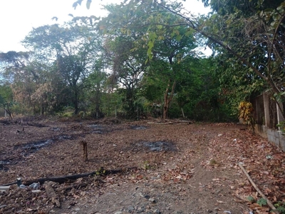 Beautiful and Quiet Subdivided Beach Lot for sale in Aborlan, Palawan
