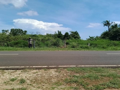 8400 SQM Lot (Road to Cliff-Side Seafront) in San Juan Siquijor