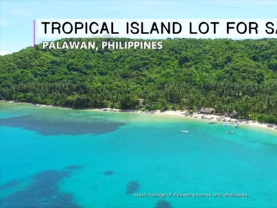 8.7 Hectares Land For Sale in El Nido Palawan FULLY TITLED