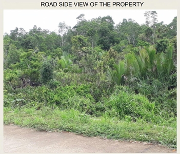 8.9 hectares Titled Lot for sale near Palawan Beach, Busuanga, Palawan