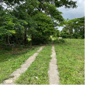 893sqm residential lot for sale in banay banay, lipa