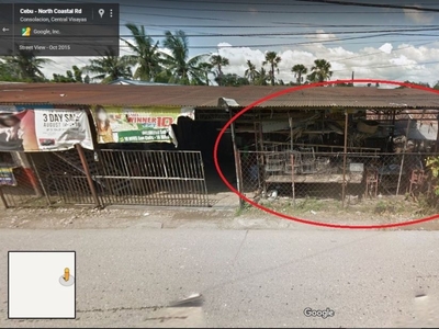 92 Sqm Subdivide Lot For Sale at Tayud Consolacion Cebu along the road