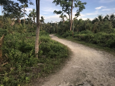 984 sqm Residential Lot For Sale in Bil-Isan, Panglao, Bohol