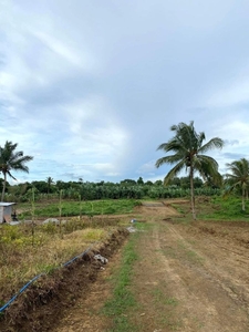Acuerdo Farm in Pangil