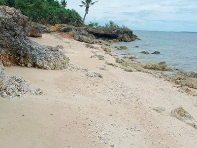 Affordable 211 sqm Beach Lot for Sale in Daanbantayan, Cebu