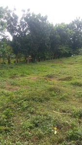 Affordable Lot For Sale Residential Area in Tanuan, Batangas