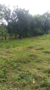 Affordable LOT FOR SALE Residential Area Tanuan Batangas