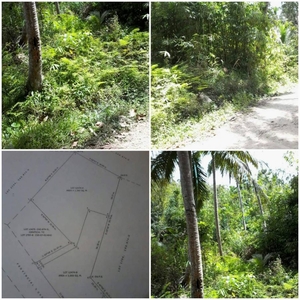 Affordable Lot with panoramic view near Tagbilaran City
