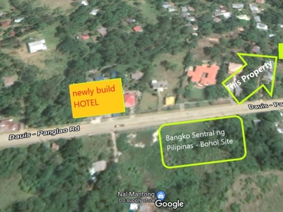 Affordable Residential lot near Bangko Sentral ng Pilipinas - Bohol site