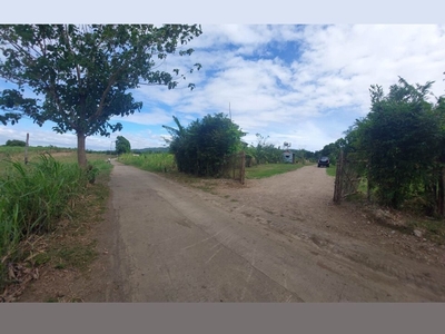 Affordable with Fruit Bearing trees Farm Lot For Sale in Lian, Batangas